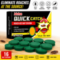 🪳 Quick Catch Roach Bait Station